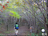 離山登山