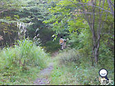 離山登山