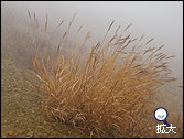 白根山登山