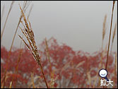 白根山登山