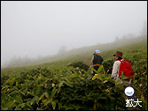 白根山登山