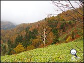 白根山登山