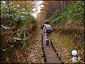 白根山登山