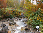 白根山登山