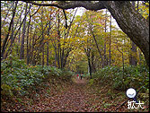 白根山登山