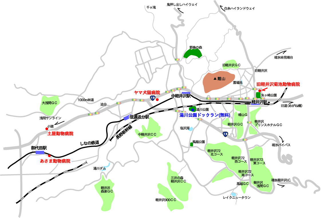 軽井沢駅の動物病院＆ドックラン